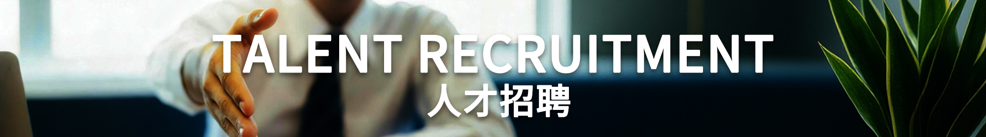 人才招聘